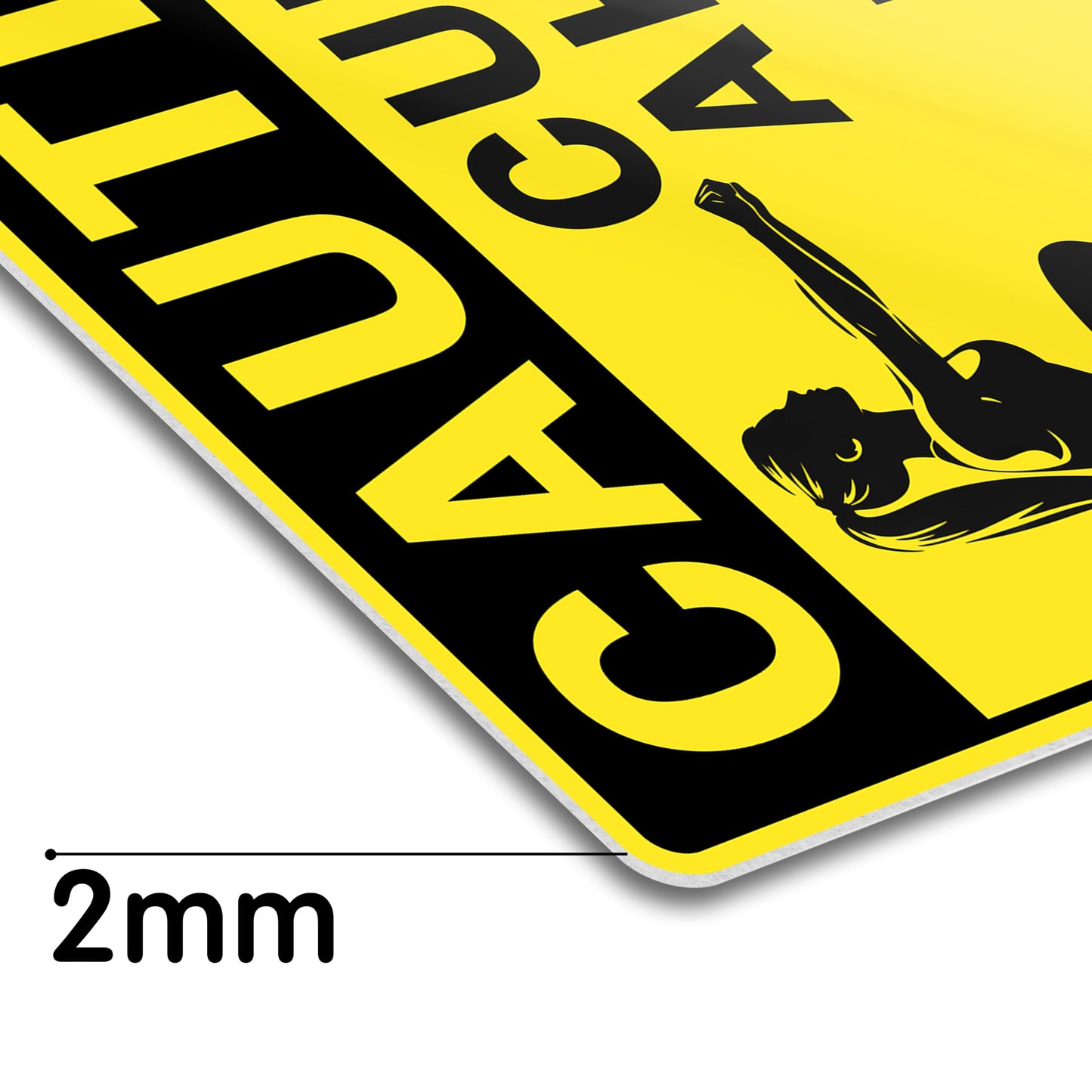 HK Studio Funny Street Sign for Teen Room 11" x 16" - Caution Curves Ahead Gym Decor, Dorm Decor, Hippie Room Decor Aesthetic, Funky Decor