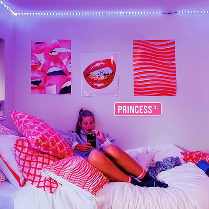 Princess Room Decor, Princess St Sign - Princess Wall Decor, 5" x 17"