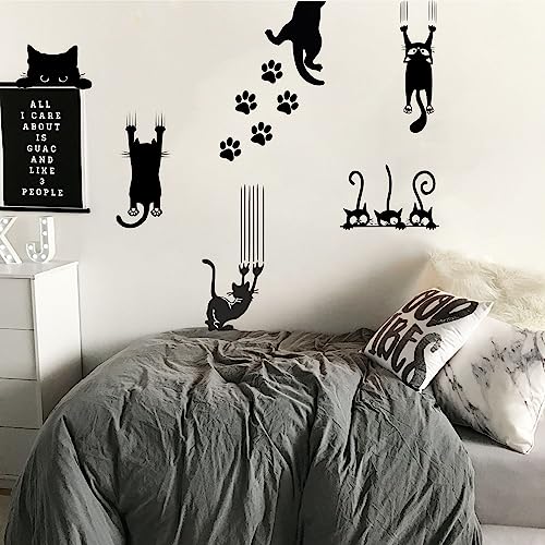 Posters Pack - Funny Cat Sticker Decal
