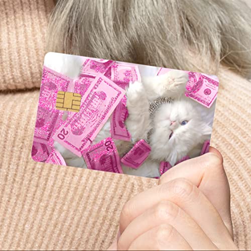 Card Skin Sticker - Money Cat
